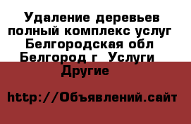 Удаление деревьев полный комплекс услуг - Белгородская обл., Белгород г. Услуги » Другие   